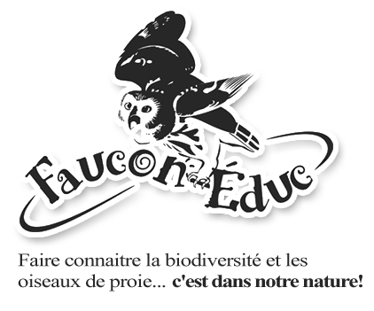 faucon rencontre